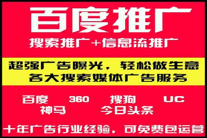 搜索引擎营销（SEM）的经典案例分析