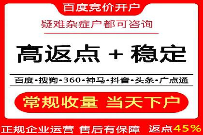 百度竞价广告投放策略案例